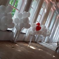 Balony ledowe na imprezy i eventy Międzyrzecz